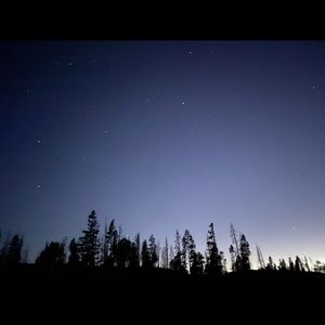 Meet your Posher, Dimitry